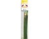 Tutti Frutti Incense from India